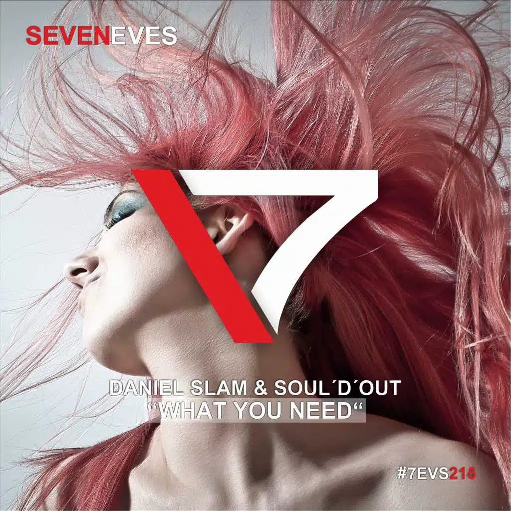 Daniel Slam, Soul'D'Out