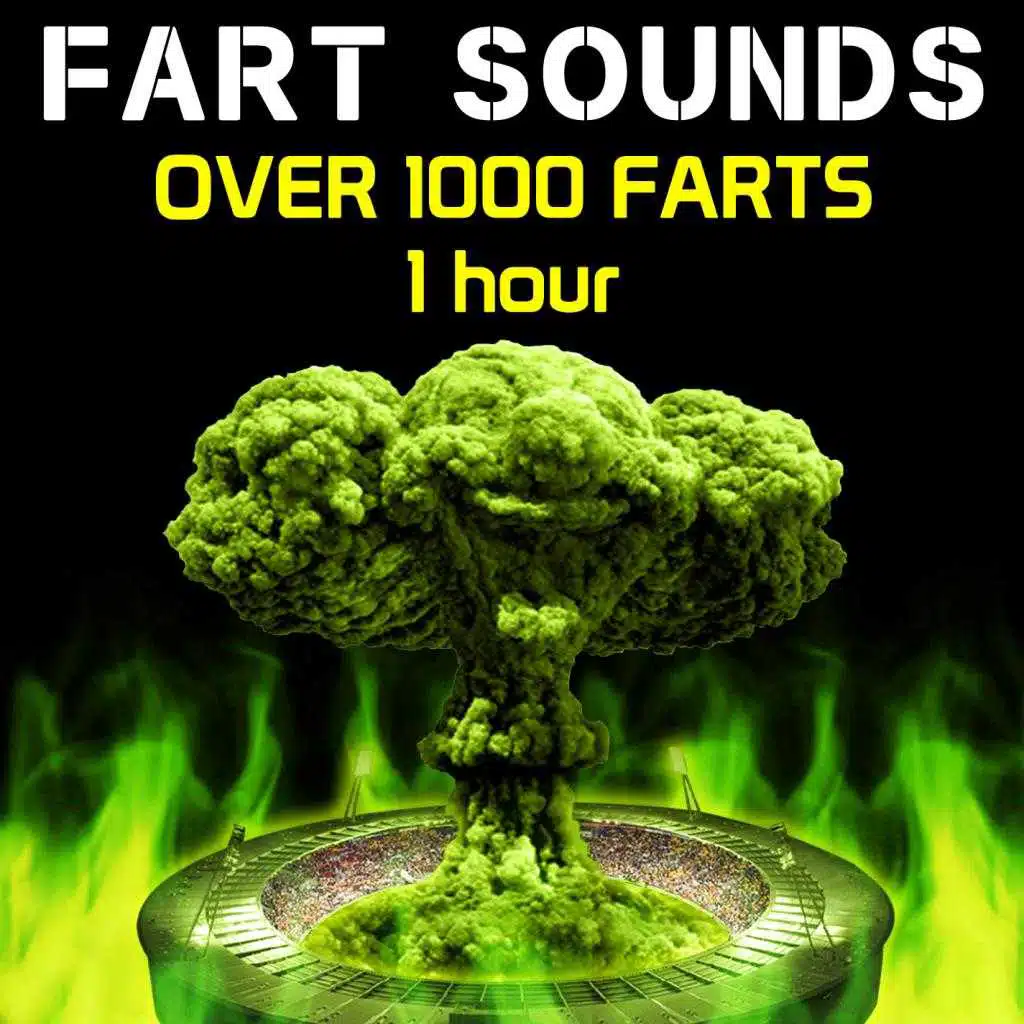 Fart Sounds - Over 1000 Farts (1 Hour)