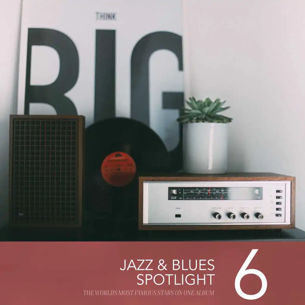 Jazz & Blues Spotlight, Vol. 6