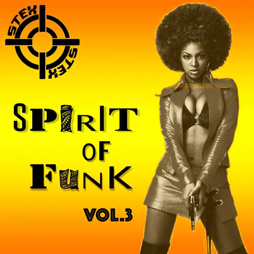 Spirit Of Funk, Vol.3