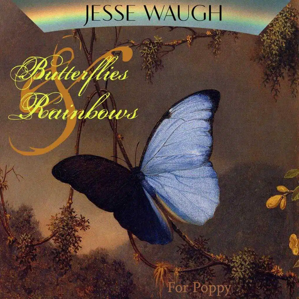 Butterflies & Rainbows (For Poppy)