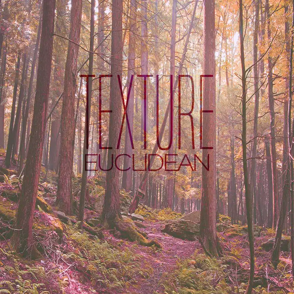 Euclidean