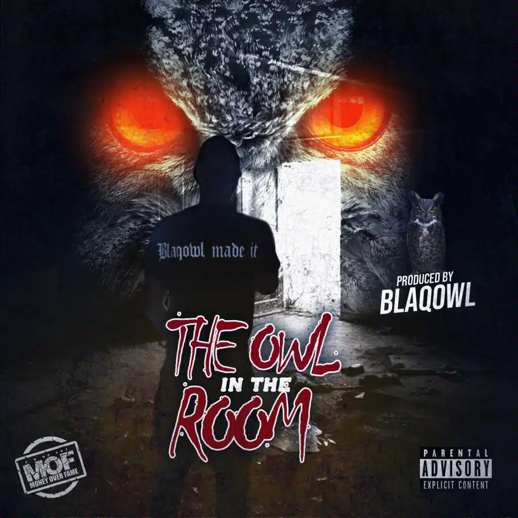 The Owl In The Room