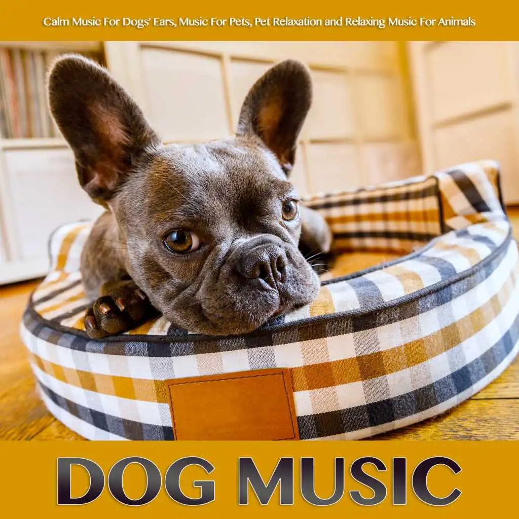 Dog Music: Calm Music For Dogs' Ears, Music For Pets, Pet Relaxation and Relaxing Music For Animals