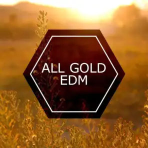 All Gold EDM (feat. Feher, Itai & Sasha Ogletree)
