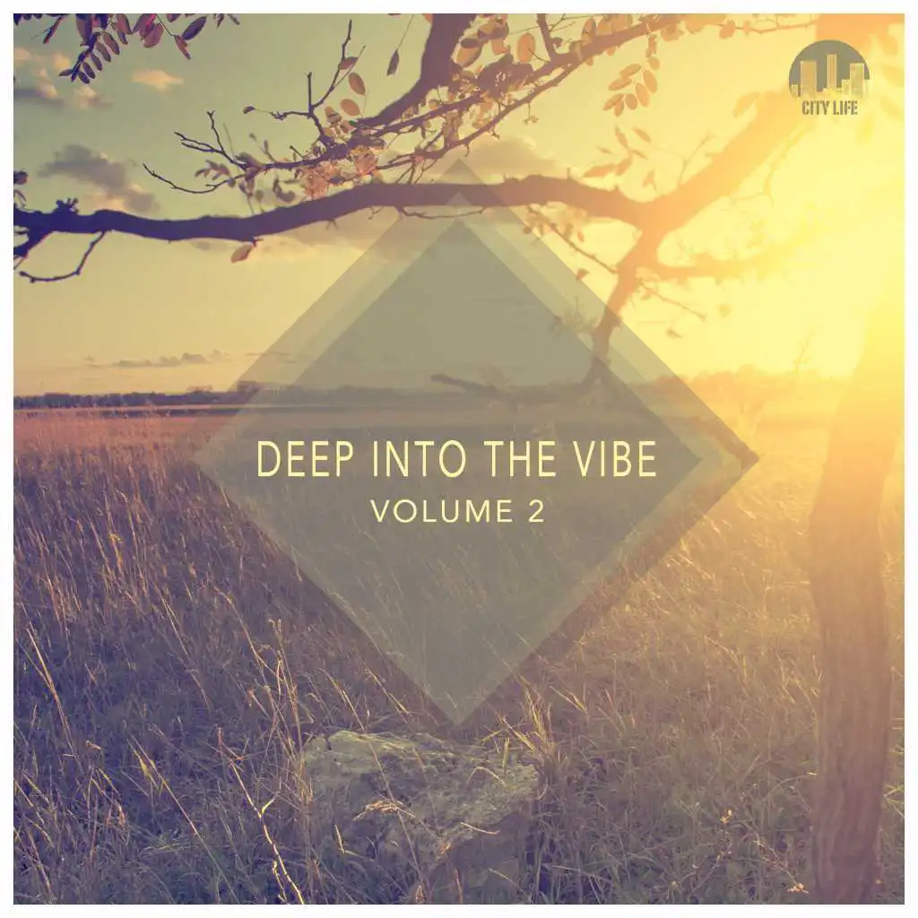 Deep Into the Vibe, Vol. 2