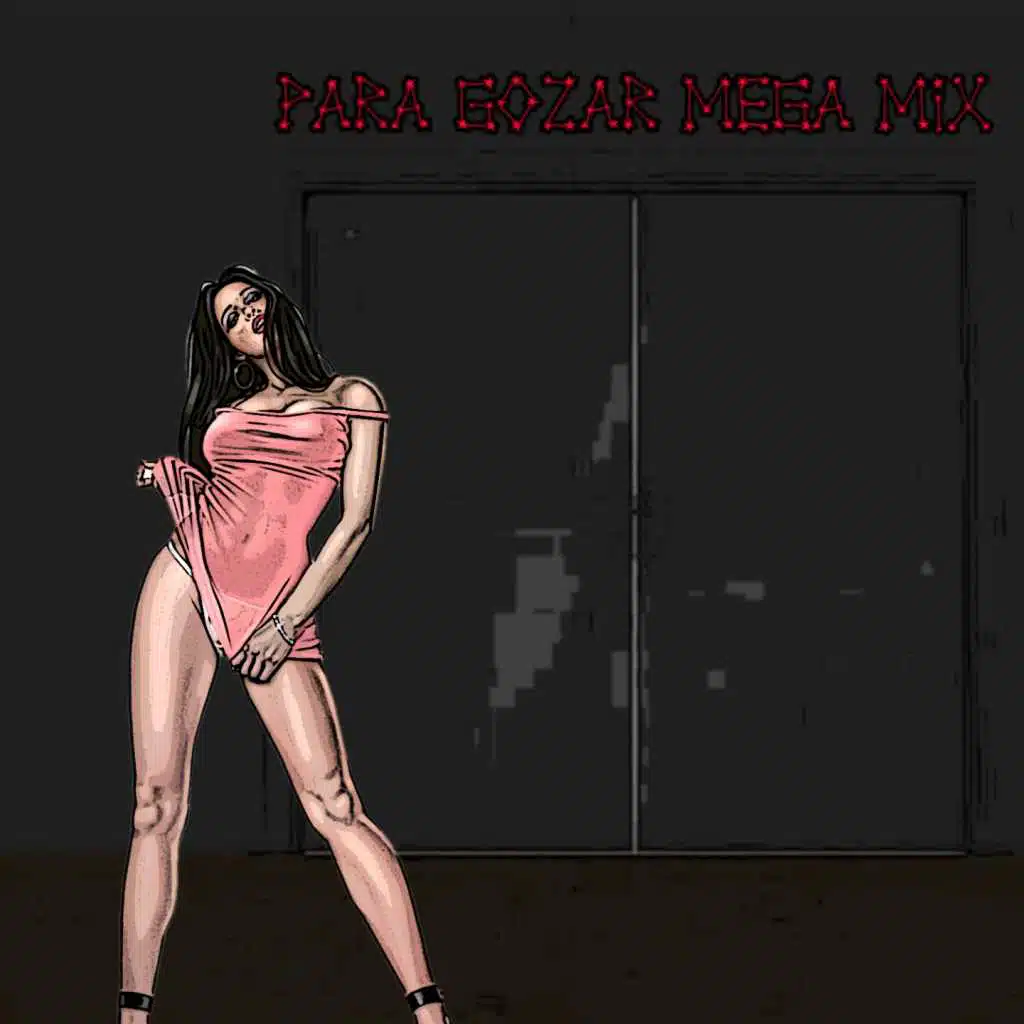 Para Gozar (Mega Mix)