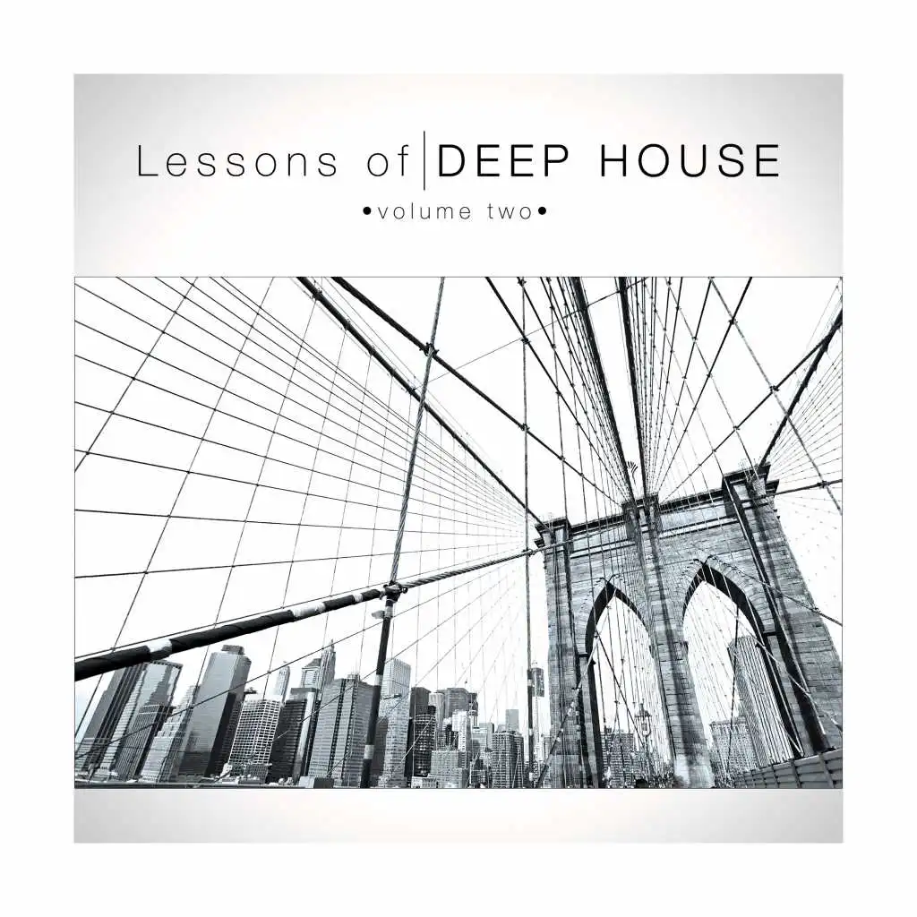 Lessons of Deephouse, Vol. 2