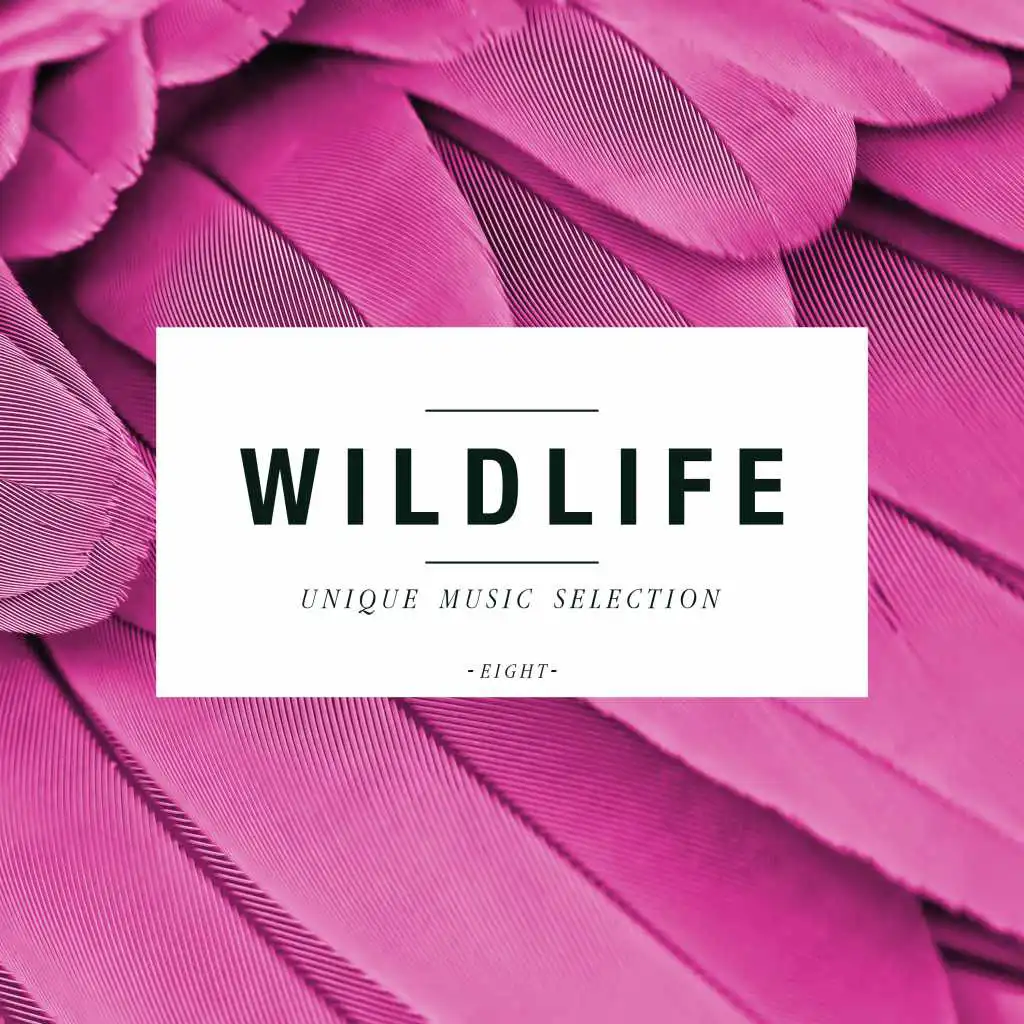 Wildlife - Unique Music Selection, Vol. 8