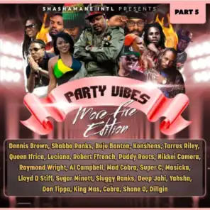 Party Vibes, Vol. 5 (Shashamane Intl - More Fire Edition)