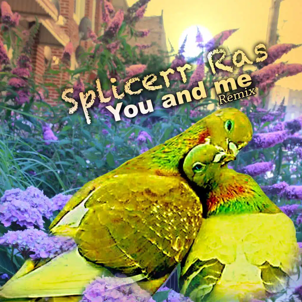 Splicerr Ras