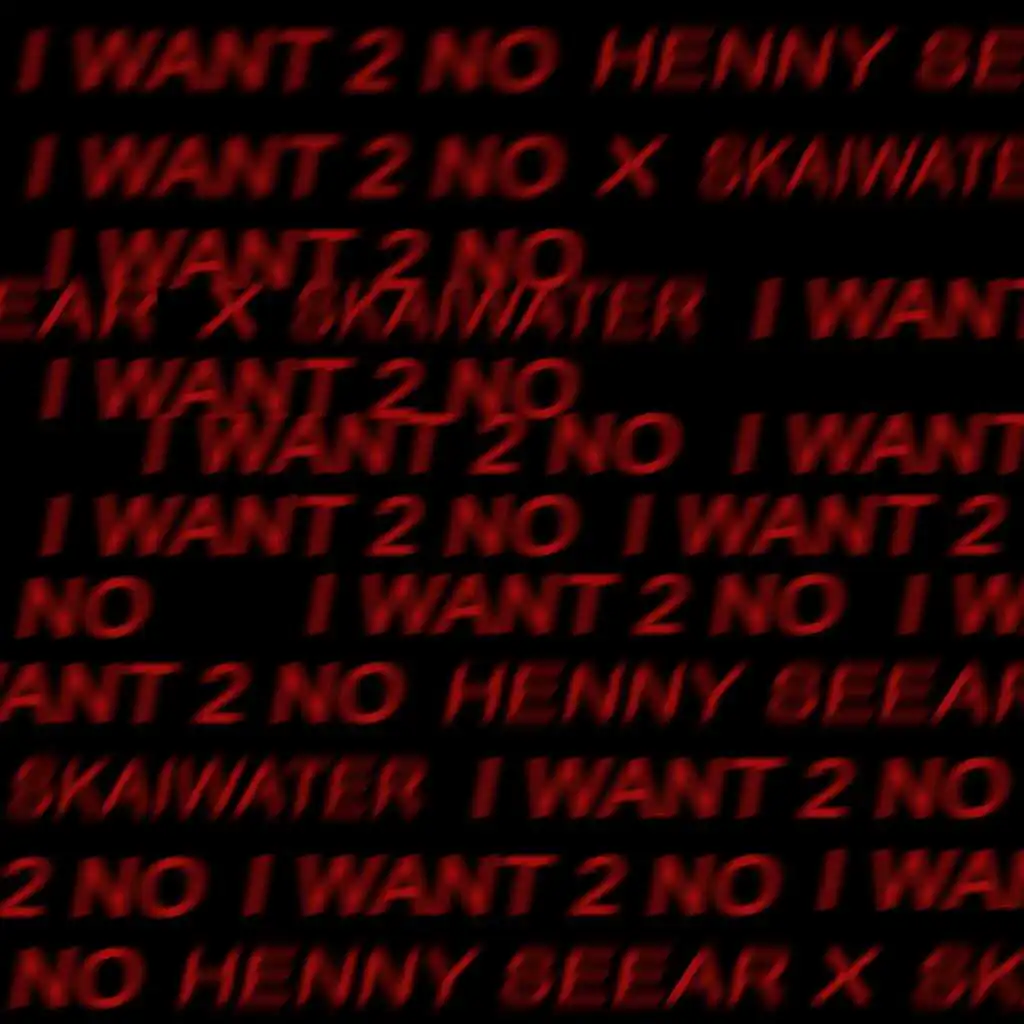 I Want 2 No (feat. Skaiwater)