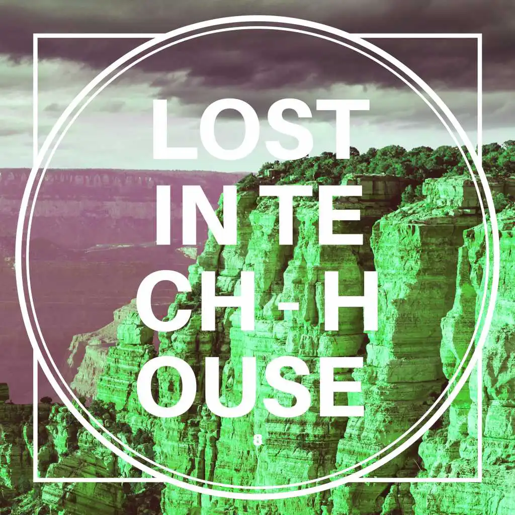 Lost in Tech-House, Vol. 8