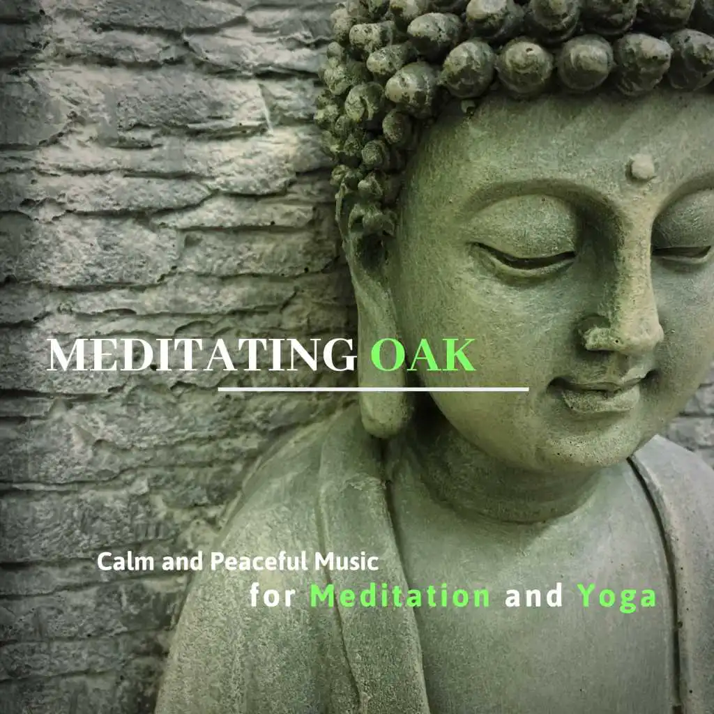 Meditating Oak - Calm And Peaceful Music For Meditation And Yoga