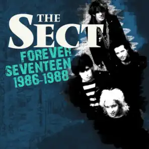 Forever Seventeen 1986-1988