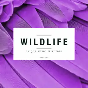 Wildlife - Unique Music Selection, Vol. 7