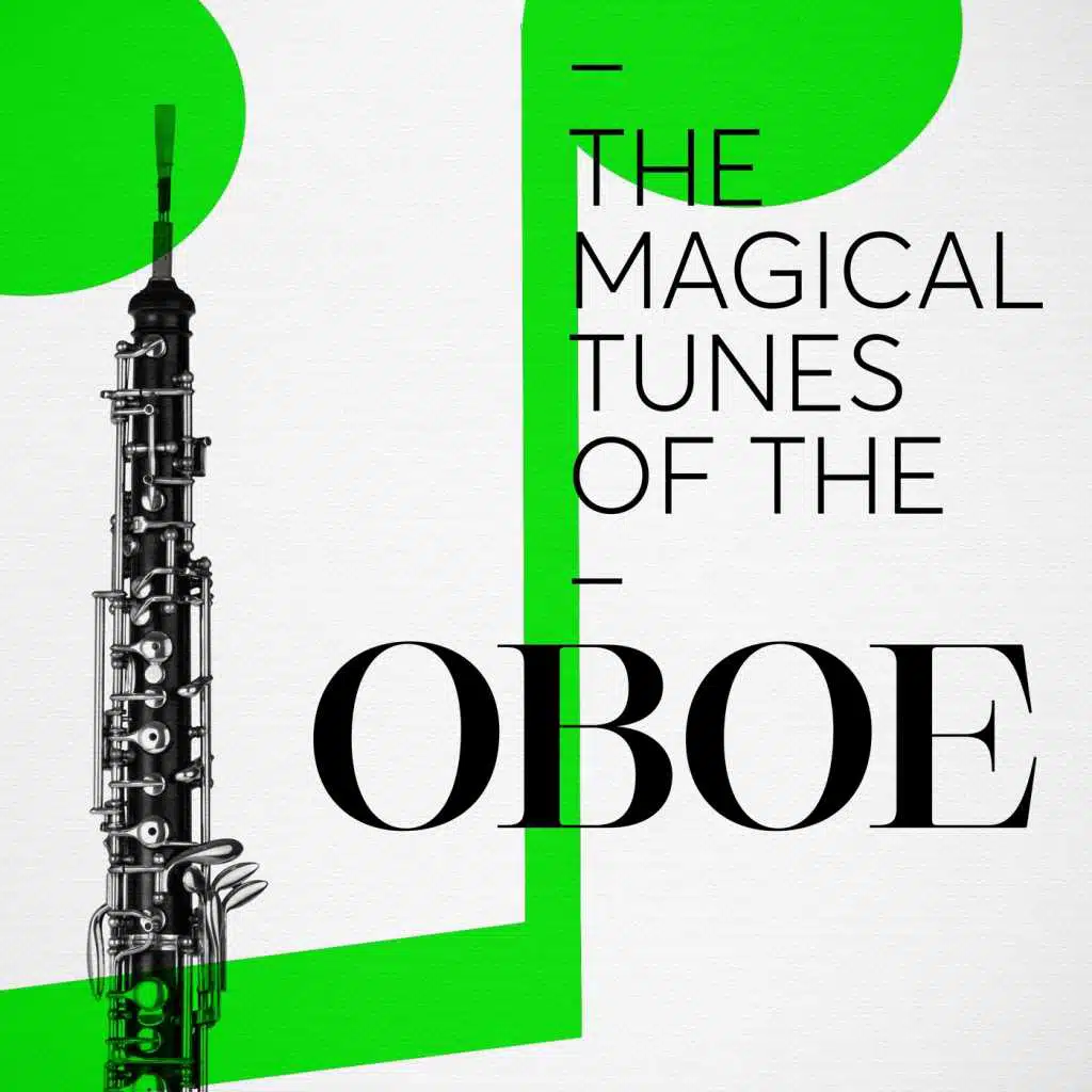 Oboe Concerto in D Major, Op. 7 No. 6: II. Adagio