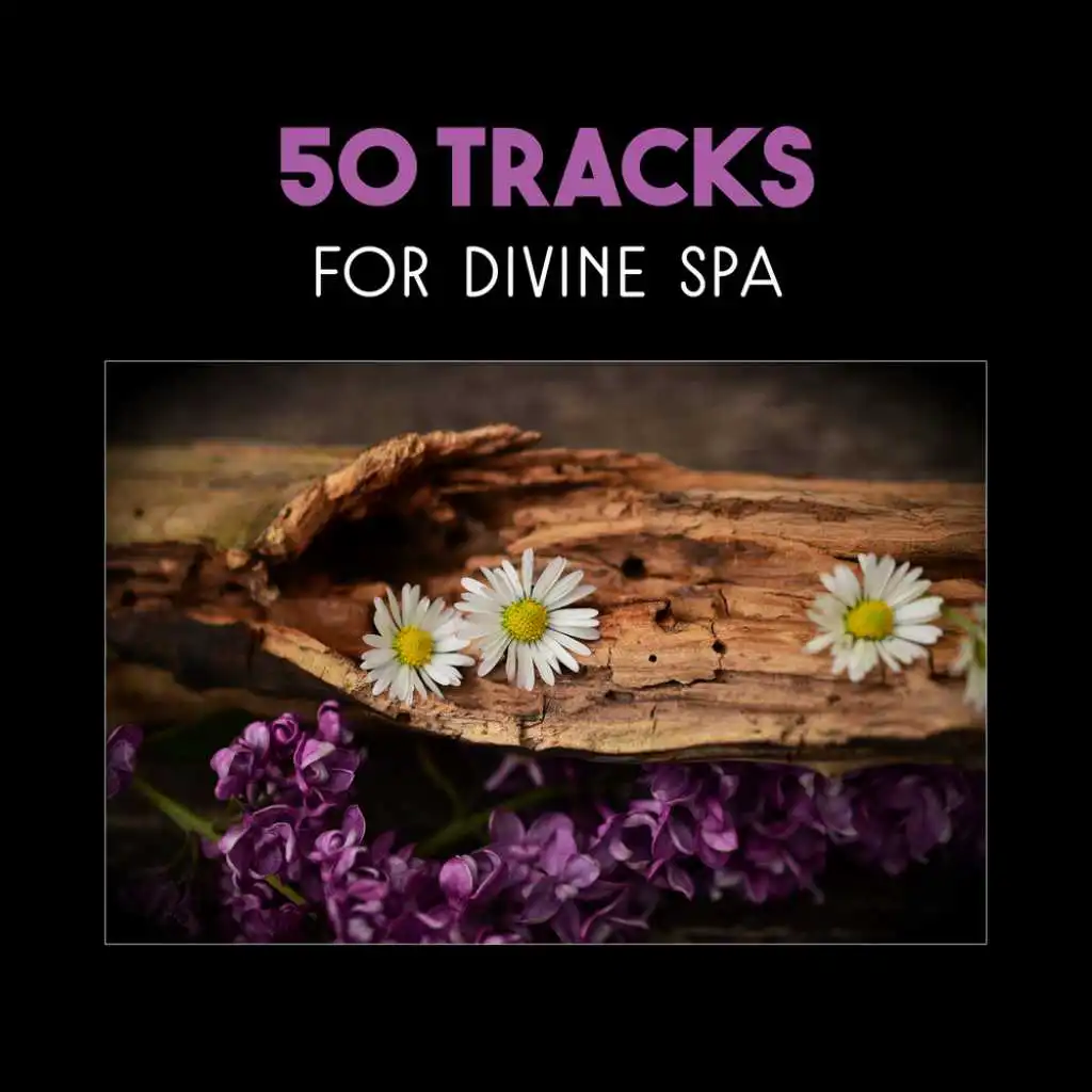 50 Tracks for Divine Spa – Peaceful Relaxation with Serenity Music, Healing Through the Hot Stones & Shiatsu Massage