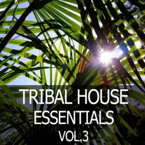 Tribal House Essentials, Vol. 3
