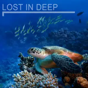 Lost in Deep