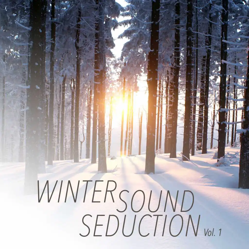 Winter Sound Seduction, Vol. 1