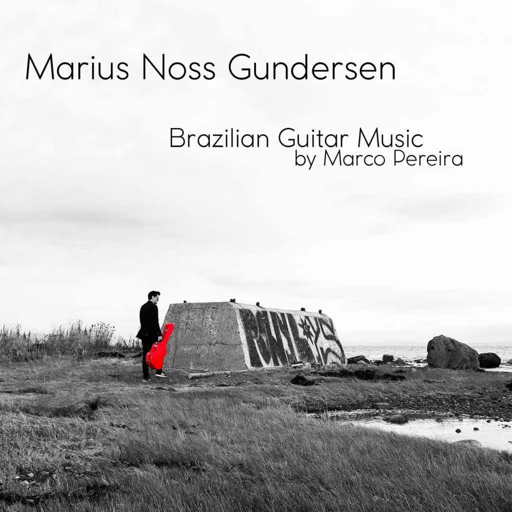 Brazilian Guitar Music (feat. Marco Pereira)