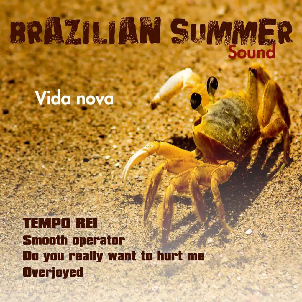 Vida Nova (Brazilian Summer Sound)