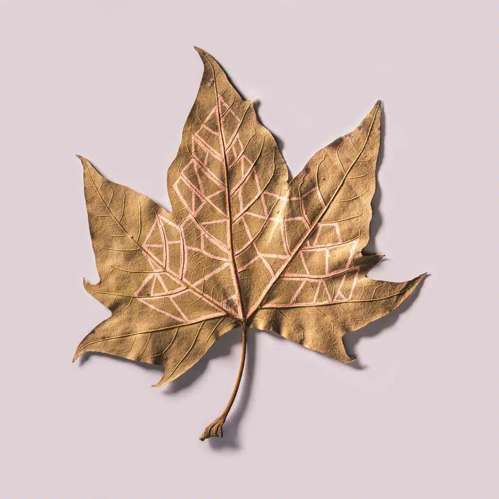 Pro Dia Não Virar Pó