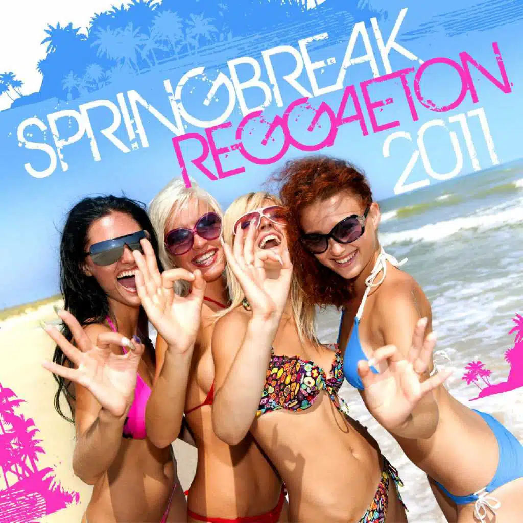 Springbreak Reggaeton 2011
