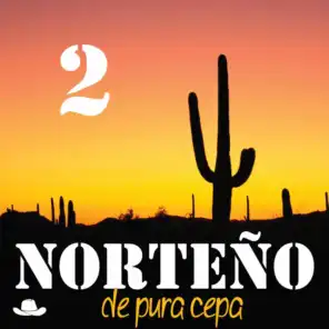 Norteño de Pura Cepa, Vol. 2