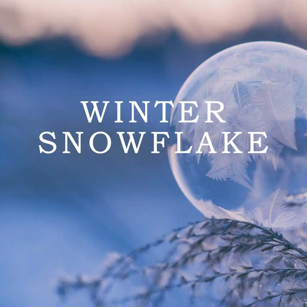 Jingle Bells Imitations (1961)