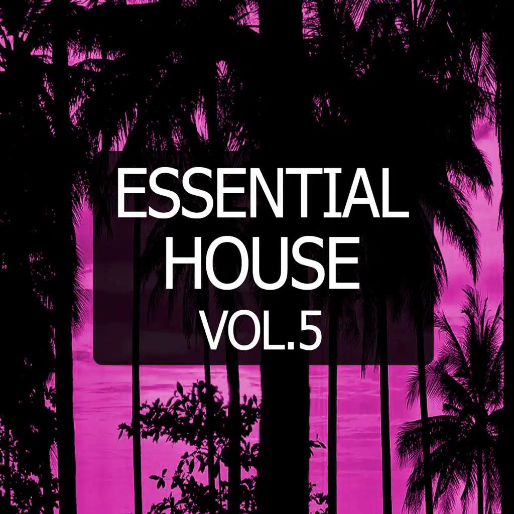 Essential House, Vol. 5