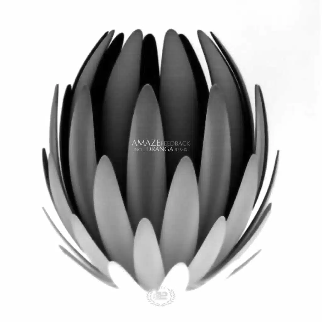 Feedback (Dranga Remix)