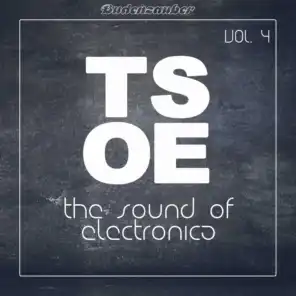 TSOE (The Sound of Electronica), Vol. 4