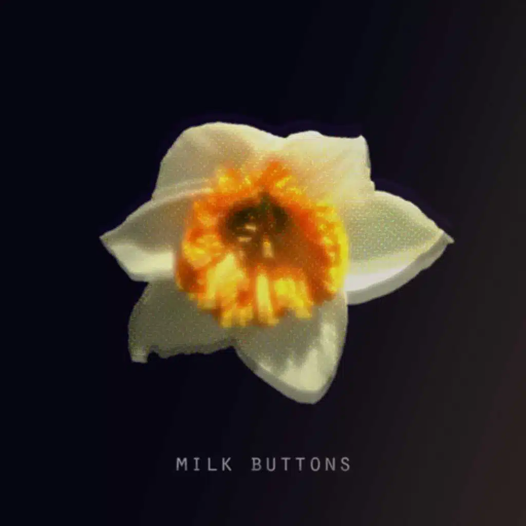 Daffodil EP