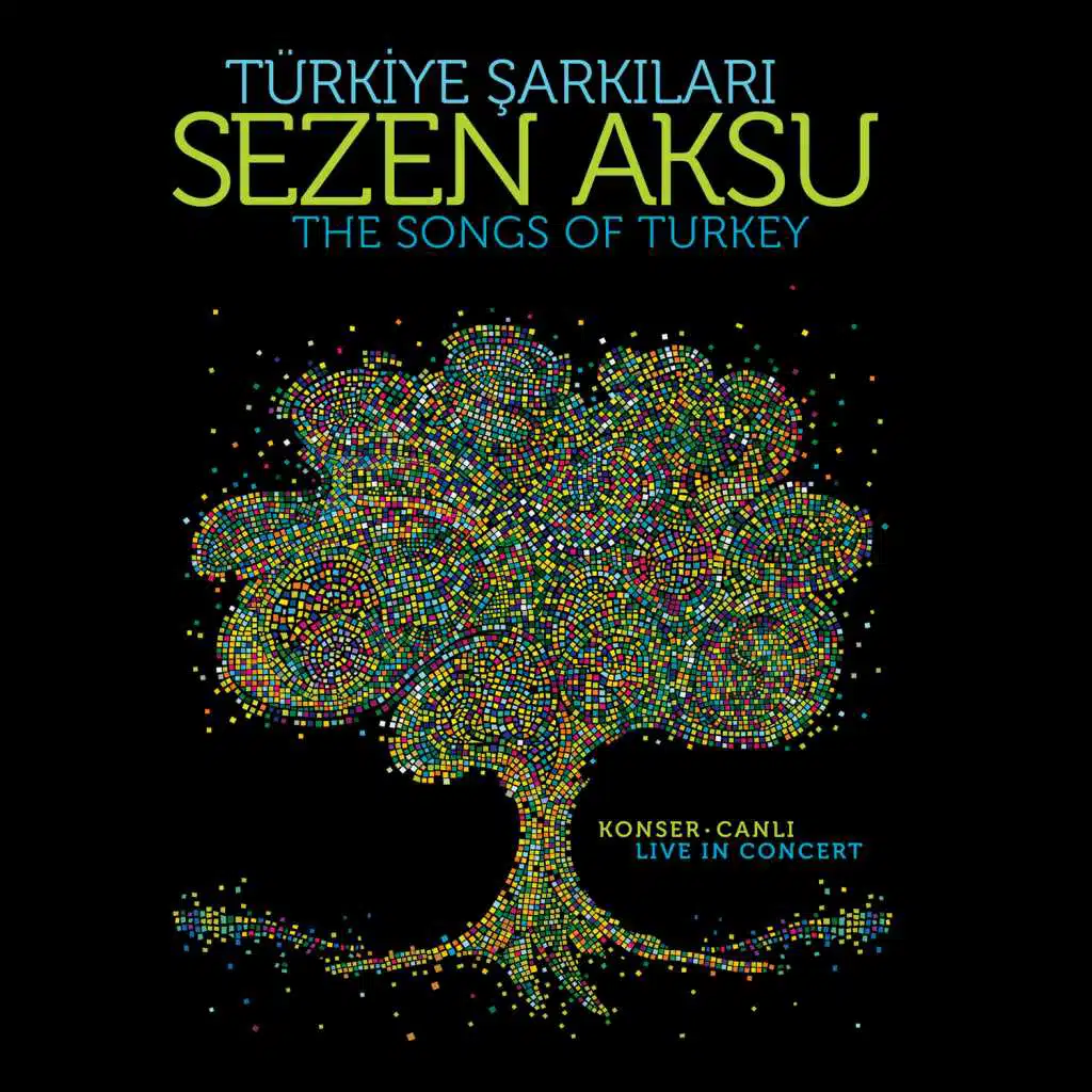 Çamlığın Başında Tüter Bir Tütün (Canlı)
