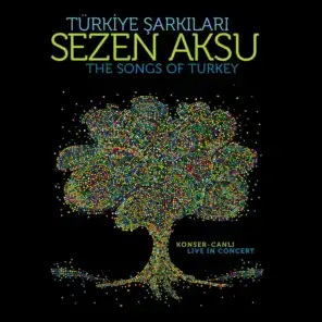 Türkiye Şarkıları (Canlı)