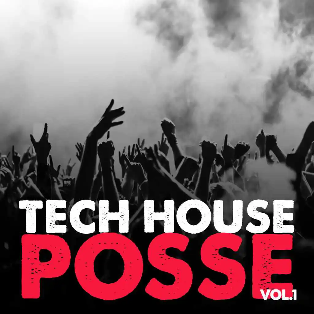 Tech House Posse, Vol. 1