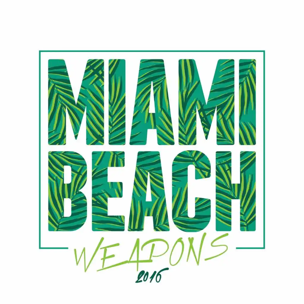 Miami Beach Weapons 2016