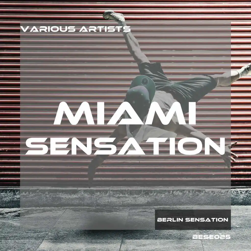 Miami Sensation