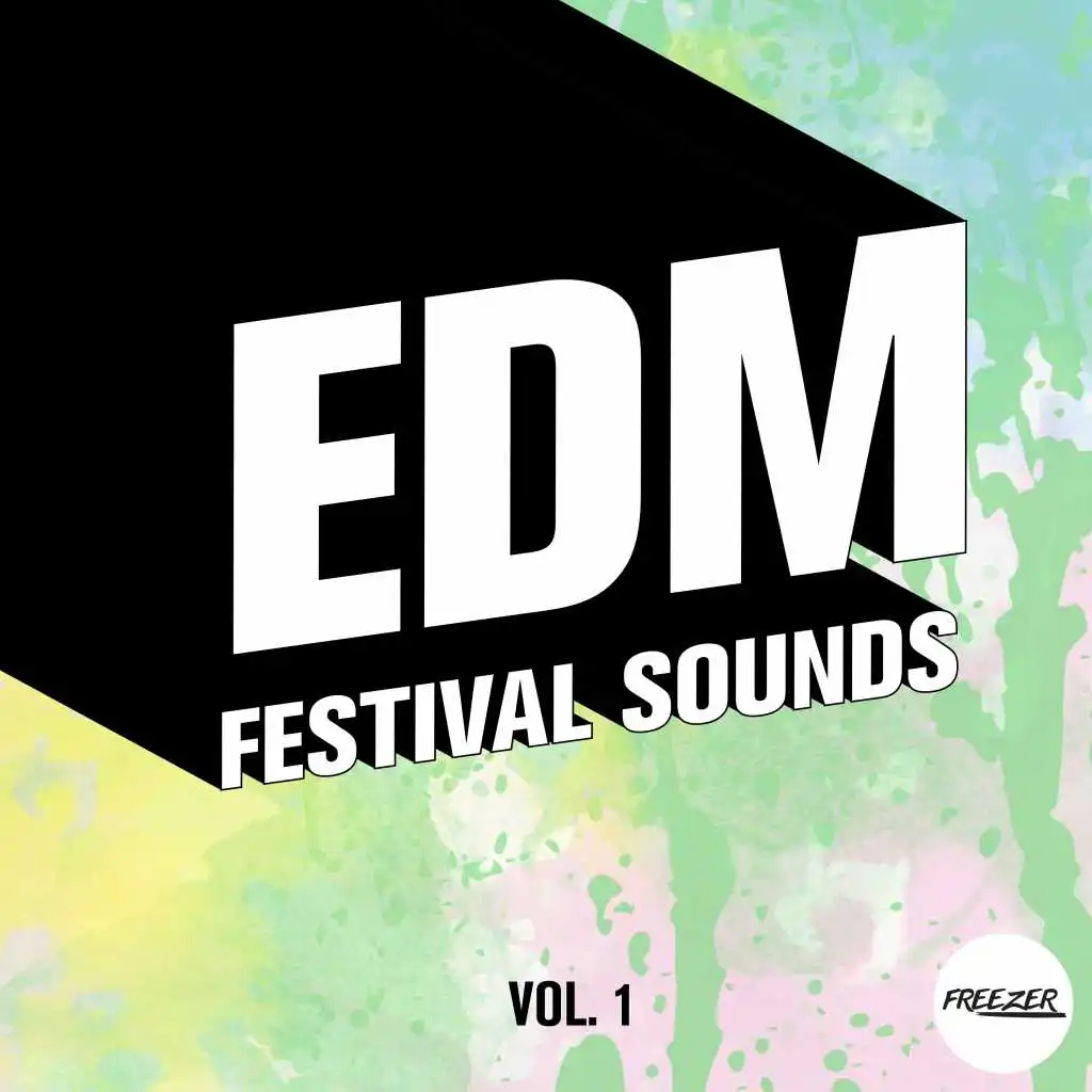 EDM Festival Sounds, Vol. 1