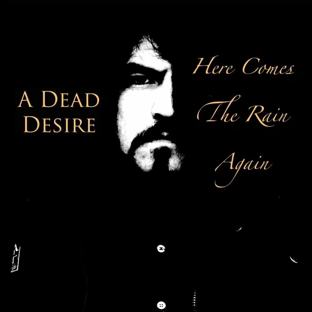 Here Comes the Rain Again