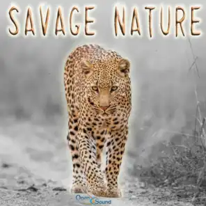 Savage Nature (Music for Movie)
