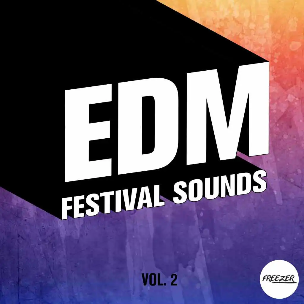 EDM Festival Sounds, Vol. 2