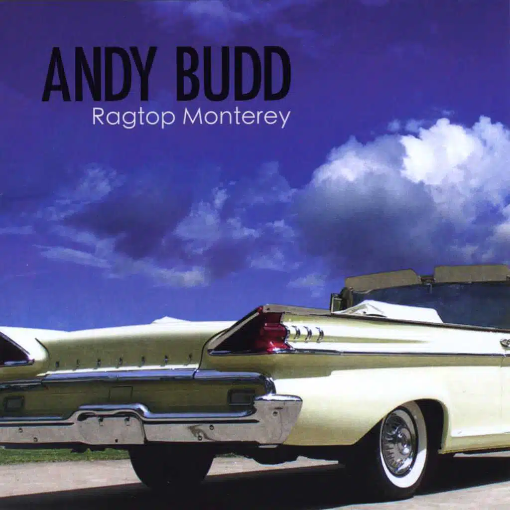 Andy Budd