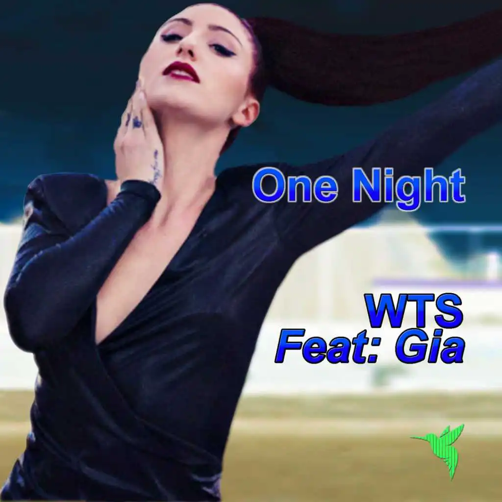 One Night (Mixes) [feat. Gia]