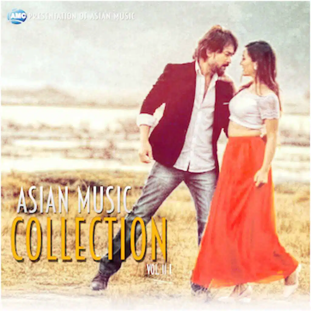 Asian Collection, Vol. 3