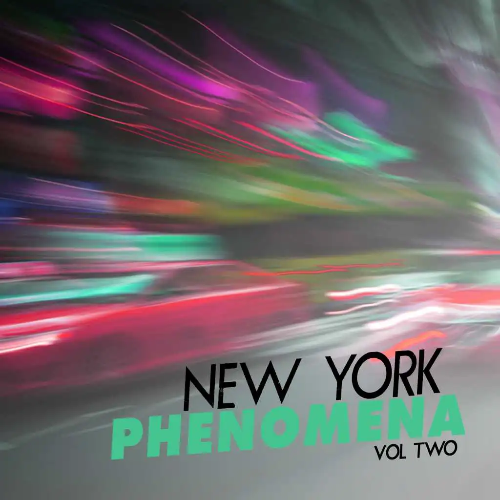 New York Phenomena, Vol. 2