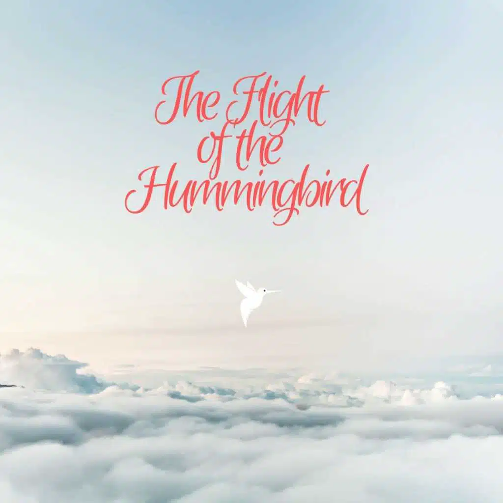 The Flight of the Hummingbird