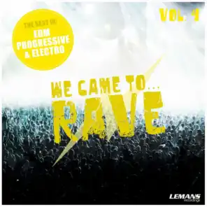 We Came to Rave, Vol. 4